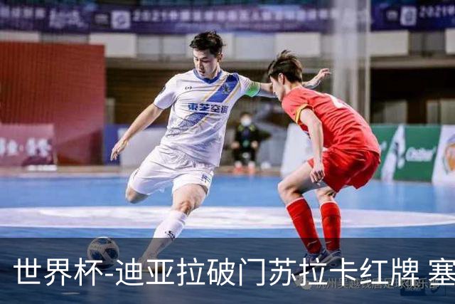 世界杯-迪亚拉破门苏拉卡红牌 塞内加尔半场1-0伊拉克