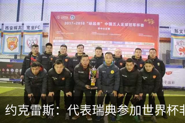 约克雷斯：代表瑞典参加世界杯非常自豪 与萨利巴交手很特别